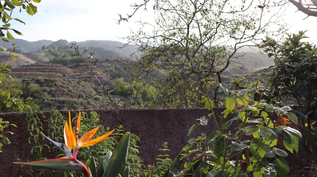 Casa Rural En San Mateo Las Palmas de Gran Canaria Exteriér fotografie