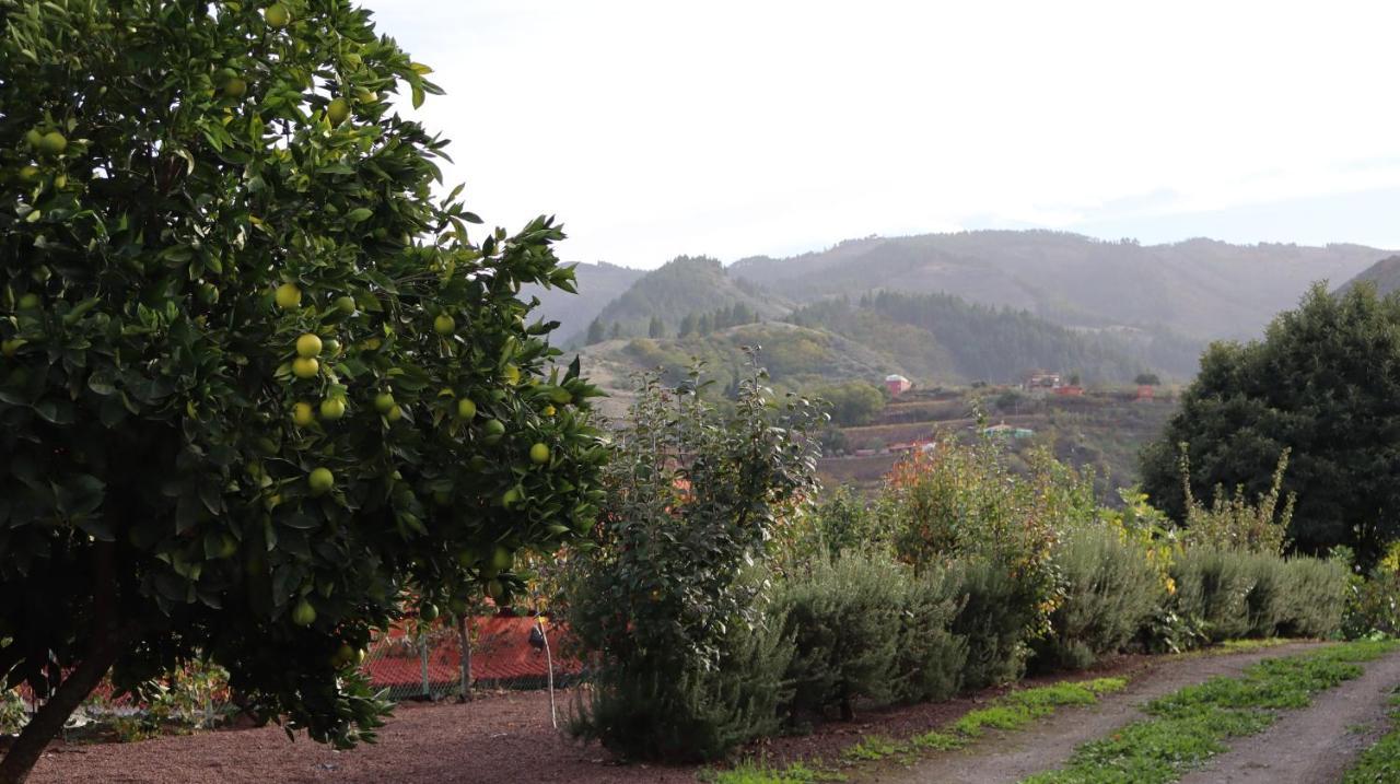 Casa Rural En San Mateo Las Palmas de Gran Canaria Exteriér fotografie