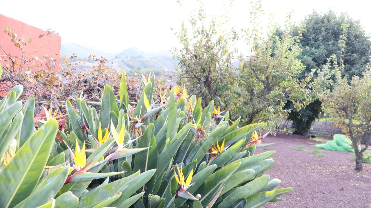 Casa Rural En San Mateo Las Palmas de Gran Canaria Exteriér fotografie