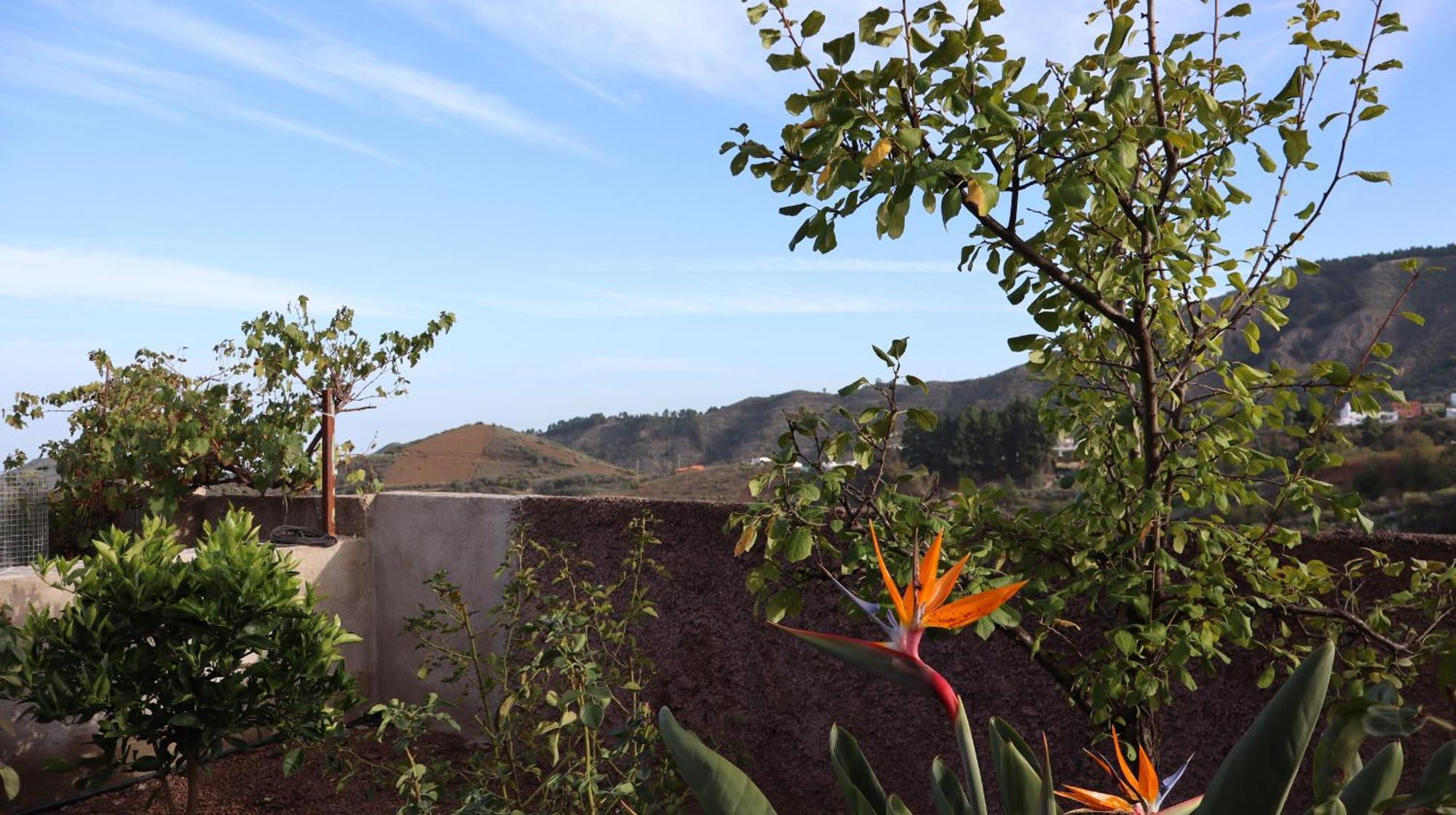 Casa Rural En San Mateo Las Palmas de Gran Canaria Exteriér fotografie